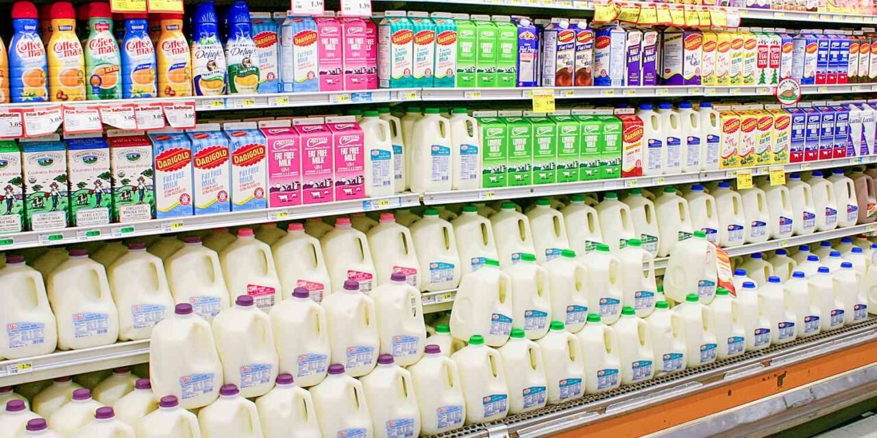 Pasteurized vs. Ultra-Pasteurized Milk, Organic Valley Explains the Distinction