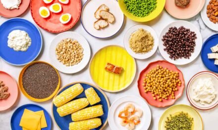 What Does 15 Grams of Protein Look Like in Varied Meals?