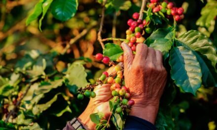 Why Your Morning Espresso Prices Extra and What You Can Do