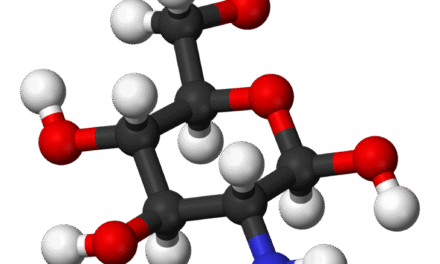 Glucosamine for Joint Well being – Dietary supplements in Evaluate