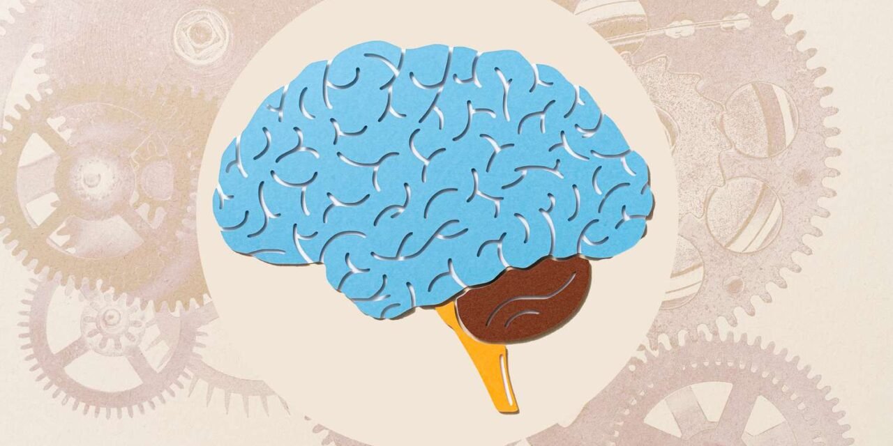 The# 1 Negative Behavior to Avoid to Strengthen Memory