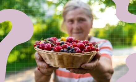 The best way to Retailer Blueberries So You At all times Have Them on Hand