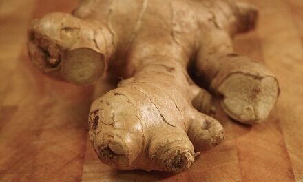 Ginger for Joint Well being – Dietary supplements in Evaluate