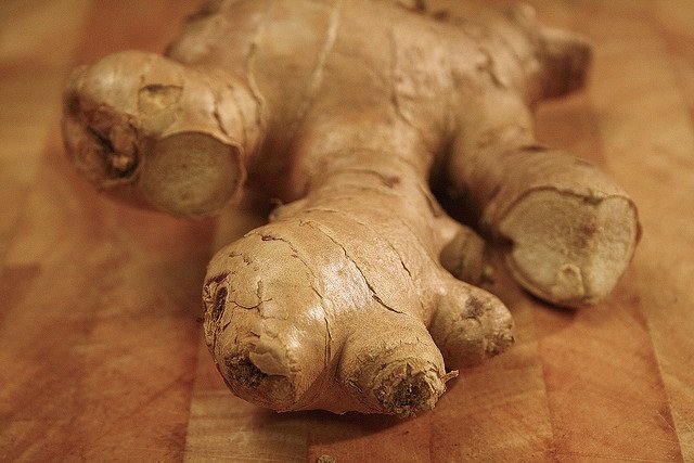 Ginger for Joint Well being – Dietary supplements in Evaluate