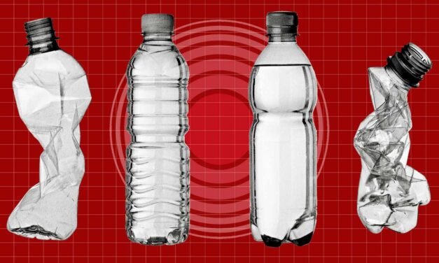 Plastic Water Bottles Could Elevate Most cancers Threat