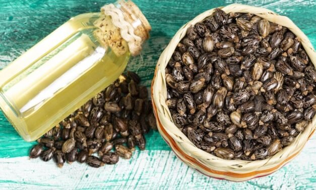 Castor Oil: Is it Safe and Successful?