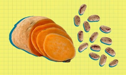 The 6 Finest Carbs to Assist You Lose Visceral Fats