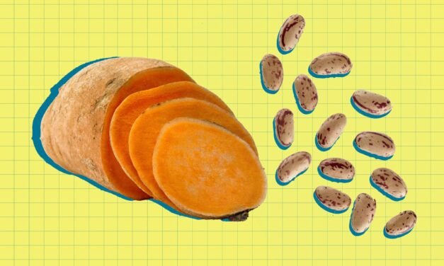 The 6 Finest Carbs to Assist You Lose Visceral Fats