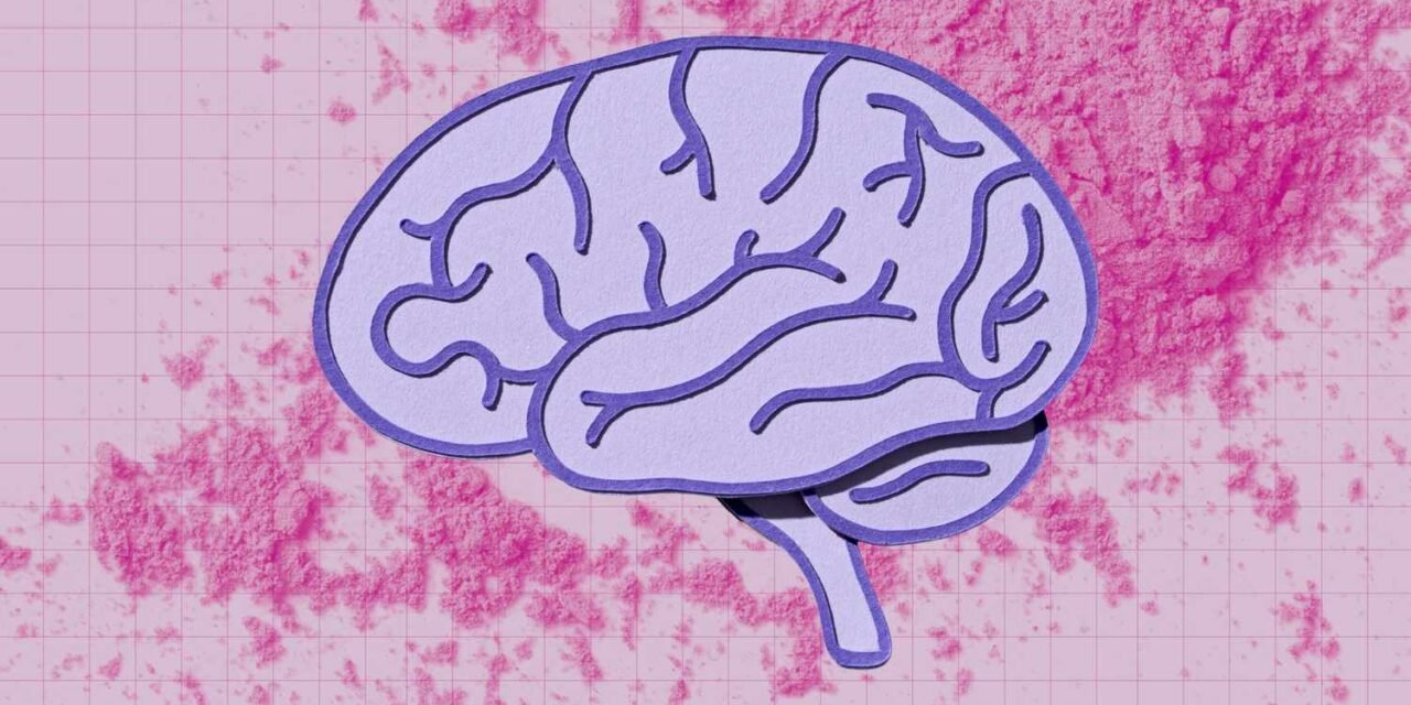 What Occurs to Your Mind When You Take Creatine