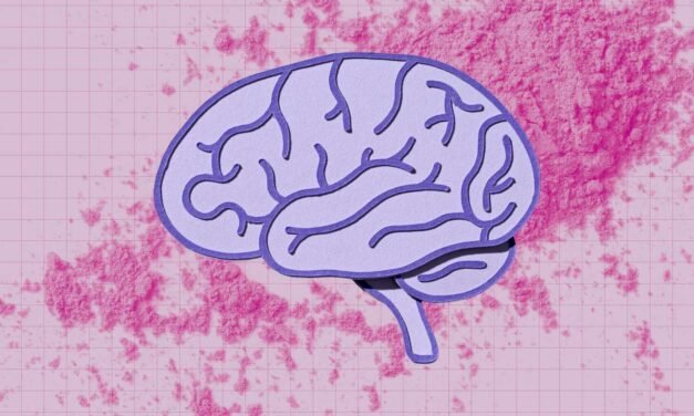 What Occurs to Your Mind When You Take Creatine