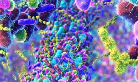 How Menopause Impacts the Intestine Microbiome