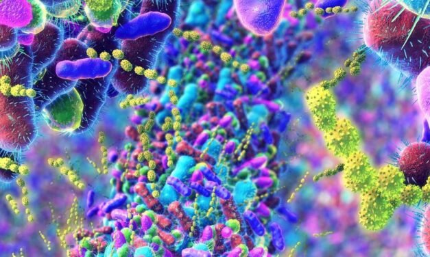 How Menopause Impacts the Intestine Microbiome