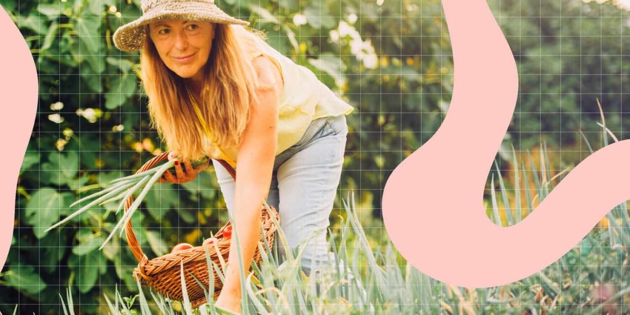 Well being Advantages of Onions and The best way to Retailer Them