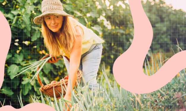 Well being Advantages of Onions and The best way to Retailer Them