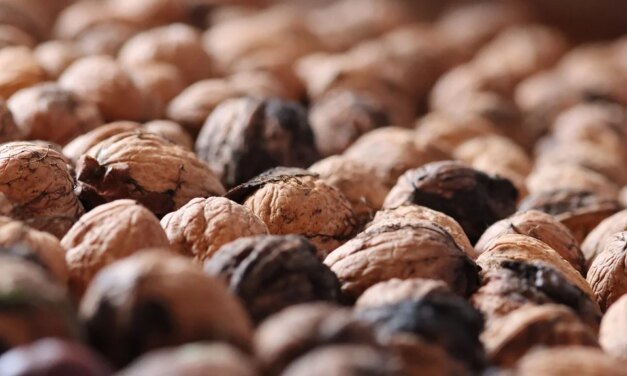 Heavy Metals Are Ưsing Plaȿtic Particles Like Sponges.