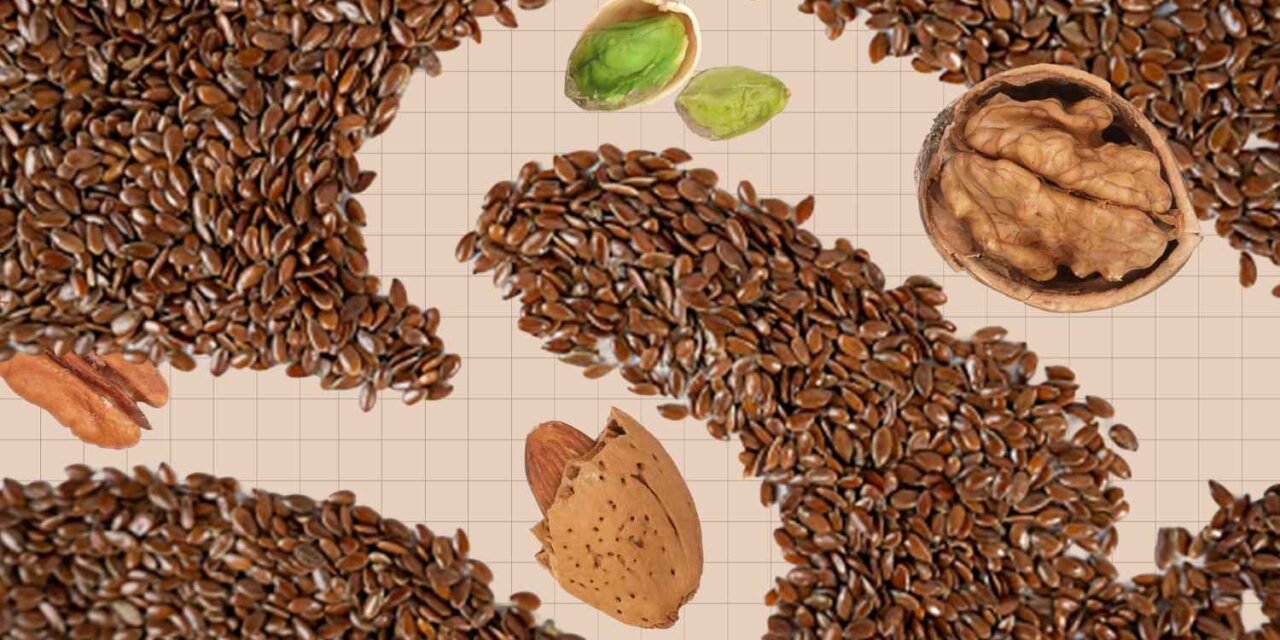 Prime 10 Excessive-Fiber Nuts & Seeds, Ranked