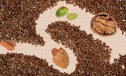 Prime 10 Excessive-Fiber Nuts & Seeds, Ranked