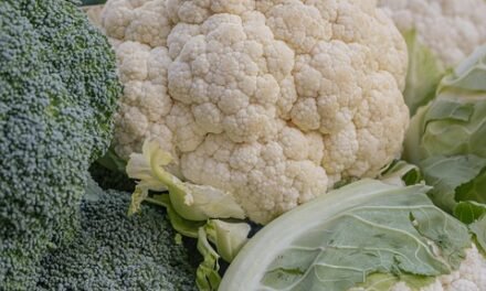 Stigma and COPD – HealthyWomen