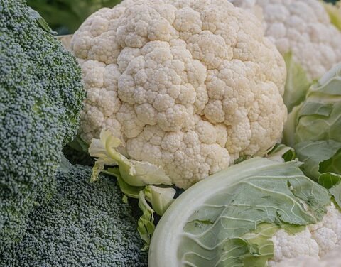 Stigma and COPD – HealthyWomen