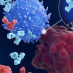 Immune Checkpoint Inhibitors – HealthyWomen