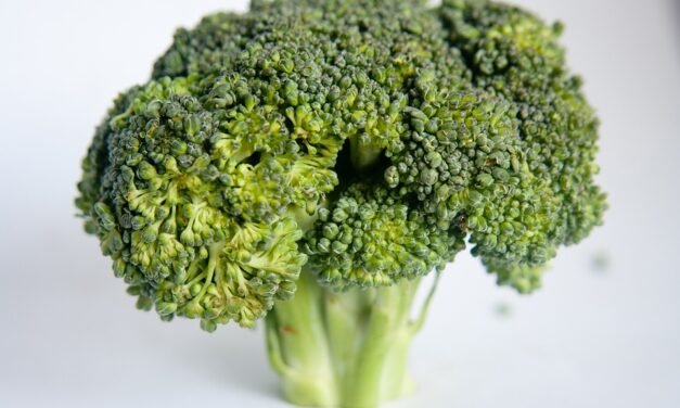 HealthyWomen- Healthier Women’s HIV Testing Guidelines