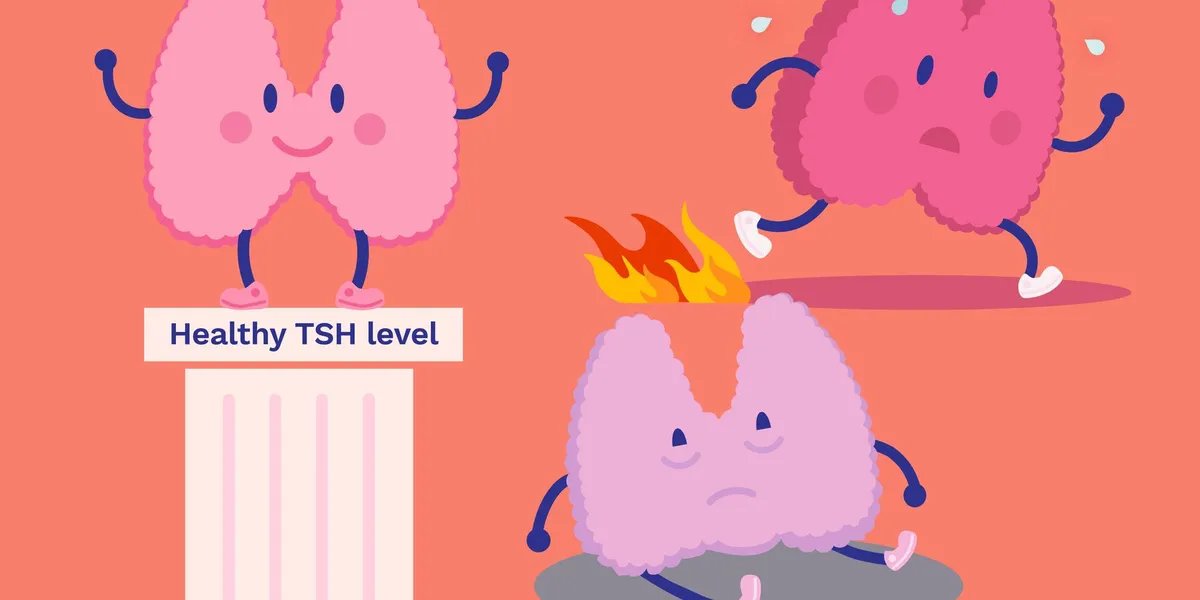 Results of a hormone test for HealthyWomen