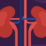 How do liver function? HealthyWomen