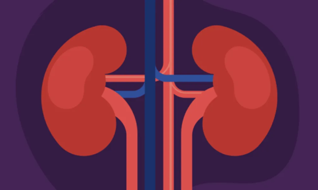 How do liver function? HealthyWomen