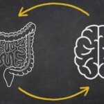 Details About Parkinson’s Illness and Intestine Well being