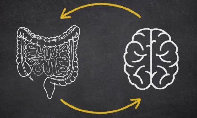 Details About Parkinson’s Illness and Intestine Well being