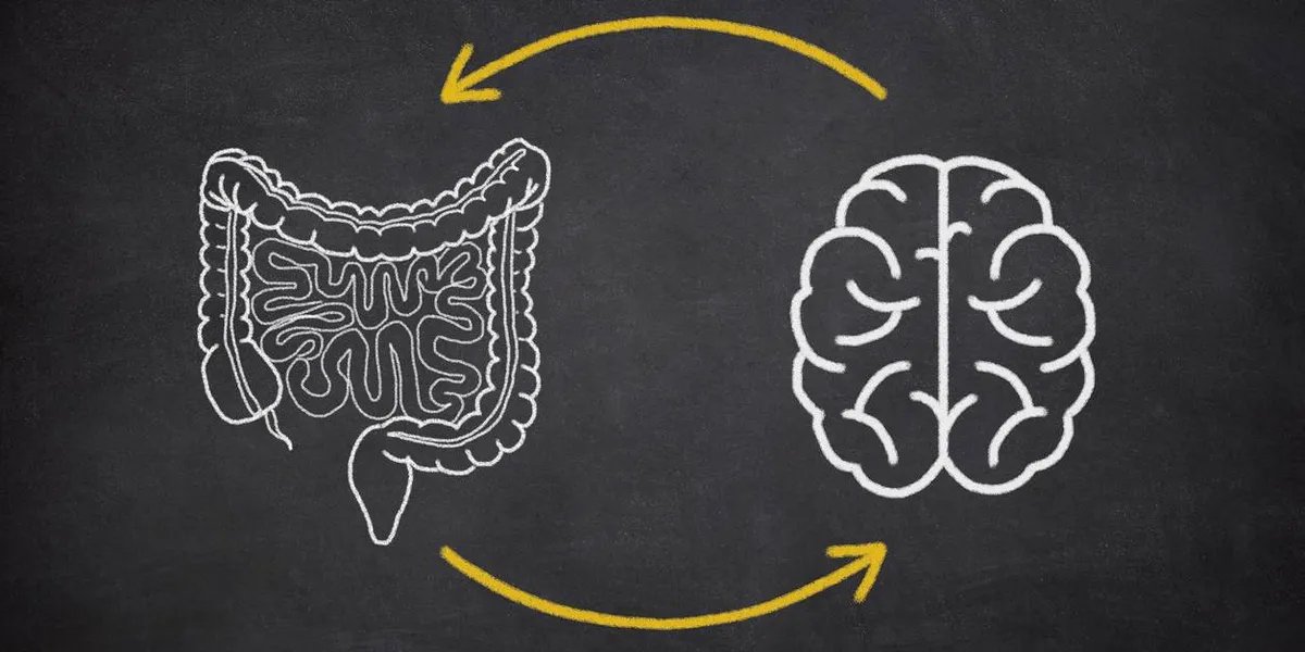 Details About Parkinson’s Illness and Intestine Well being