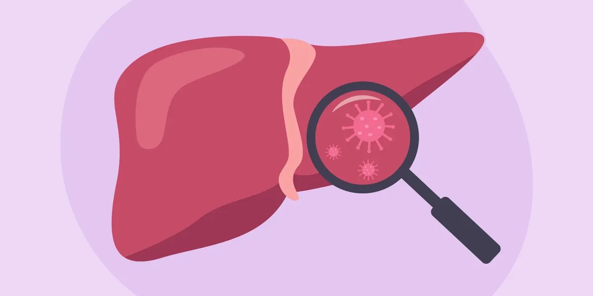 Info About Liver Illness – HealthyWomen
