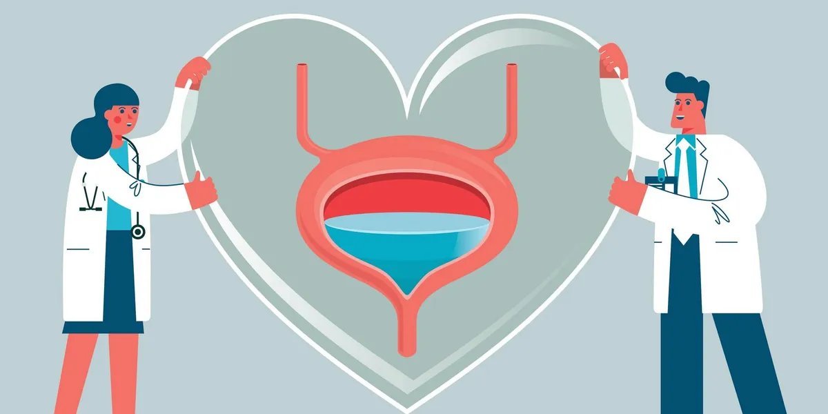 The connection between bladder well being and coronary heart well being