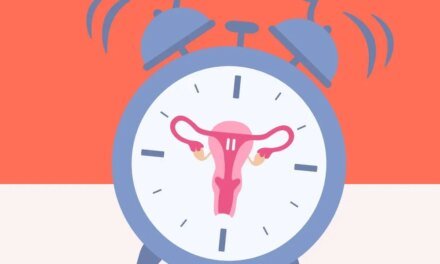 Understanding the Stages and Terms of Ovulation